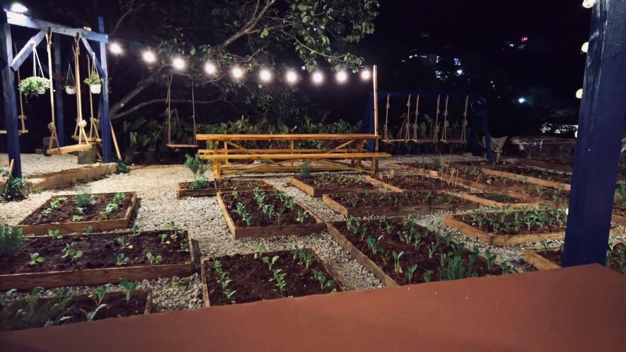 Degree 29 Hostel Νταλάτ Εξωτερικό φωτογραφία